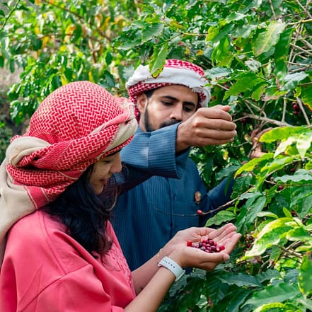 Hike with a local coffee farmer – Recently Added Experiences OHHE.com Special Offers, Deals & Discounts