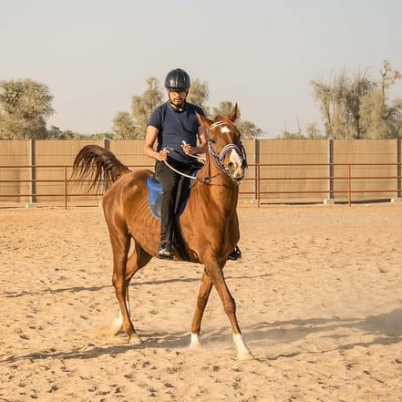Horse Riding At Mleiha Arena – Sports Events OHHE.com Special Offers, Deals & Discounts