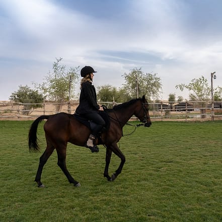 Sunset Horse Riding at Al Marmoom Oasis with a 6-Course Bedouin Dinner – Outdoor Attractions OHHE.com Special Offers, Deals & Discounts