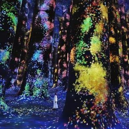 TeamLab Phenomena + Qasr Al Watan – Combo – Recently Added Experiences OHHE.com Special Offers, Deals & Discounts
