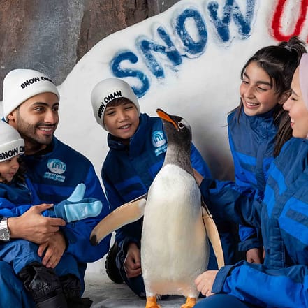 Snow Oman – Top-Rated Attractions OHHE.com Special Offers, Deals & Discounts