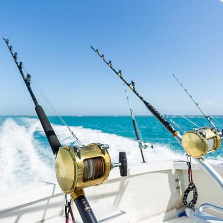 Trolling in Ocean for Big Fish – Top-Rated Attractions OHHE.com Special Offers, Deals & Discounts