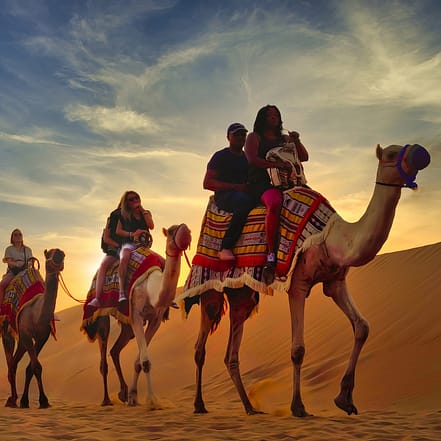 Premium Red Dunes Safari with Camel Ride & 3 Cuisines at Al Khayma Camp – Desert safaris OHHE.com Special Offers, Deals & Discounts