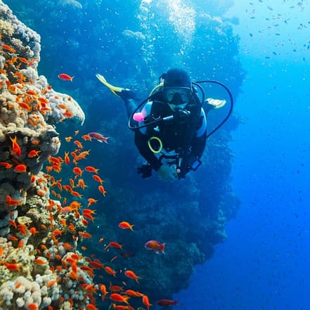 Diving Experience in Khasab – Outdoor Attractions OHHE.com Special Offers, Deals & Discounts