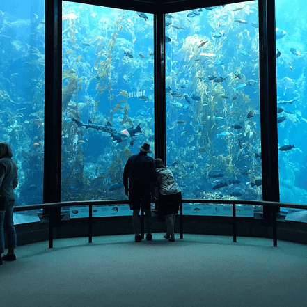 Oman Aquarium – Experiences OHHE.com Special Offers, Deals & Discounts