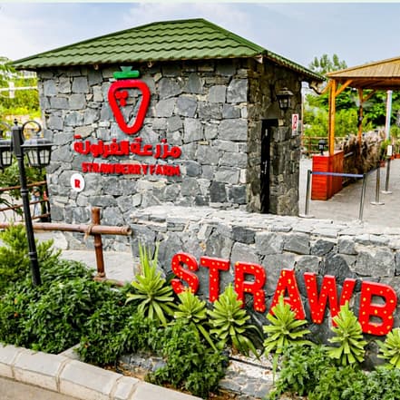 Strawberry Farm – Top-Rated Attractions OHHE.com Special Offers, Deals & Discounts
