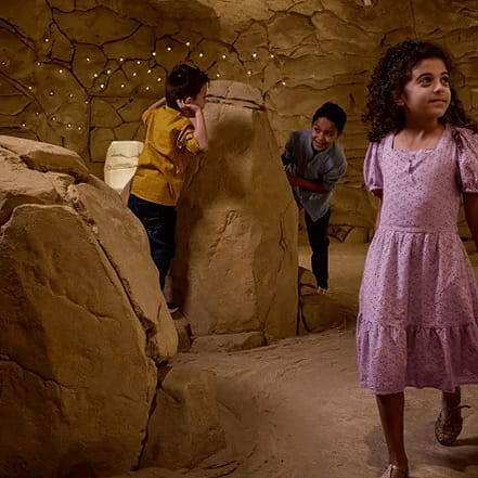 Discover the National Museum of Qatar – Must-see attractions OHHE.com Special Offers, Deals & Discounts