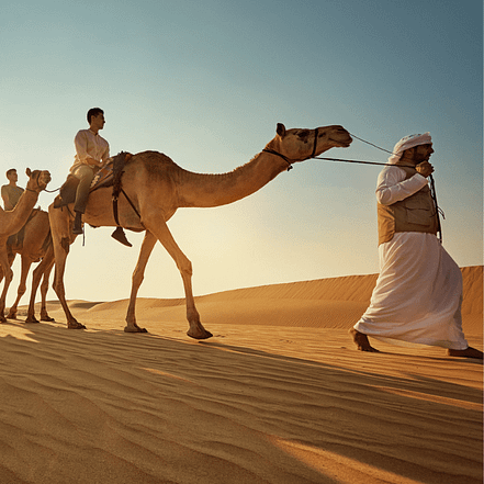 Camel Trekking Experience In Abu Dhabi With Transfers In Land Cruiser – Top-Rated Attractions OHHE.com Special Offers, Deals & Discounts