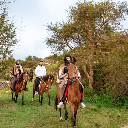 Horse Riding Experience – Recently Added Experiences OHHE.com Special Offers, Deals & Discounts