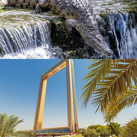 Crocodile Park Special Offer Combos – Upto 30% OFF – Attractions Special Offers OHHE.com Special Offers, Deals & Discounts