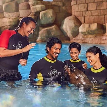 Sea Lion Experiences at Atlantis The Palm – Water Parks OHHE.com Special Offers, Deals & Discounts