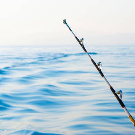 Private fishing boat tour – Sightseeing and Tours OHHE.com Special Offers, Deals & Discounts