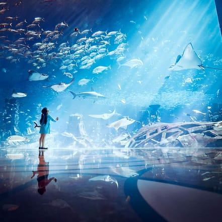 Lost Chambers Aquarium – Experiences OHHE.com Special Offers, Deals & Discounts