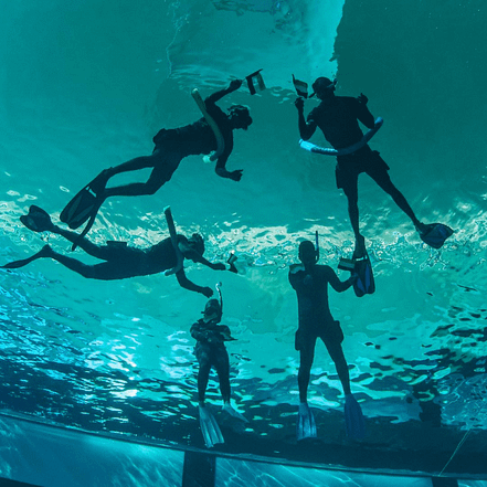 Deep Dive Dubai Surface Snorkeling Experience – Water Sports OHHE.com Special Offers, Deals & Discounts