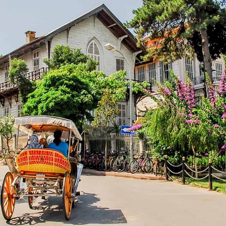 Daily Princes’ Islands Tour: Full-Day Trip in Istanbul – Sightseeing and Tours OHHE.com Special Offers, Deals & Discounts