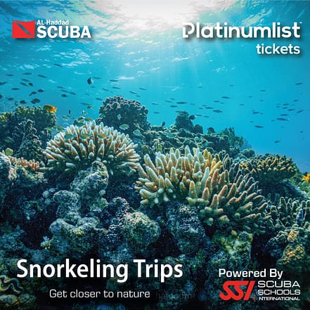 Snorkeling Daily Trips in Jeddah – Attractions Special Offers OHHE.com Special Offers, Deals & Discounts