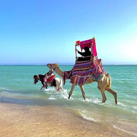 Full Day Obhur & Beach Tour With Transfers – Recently Added Experiences OHHE.com Special Offers, Deals & Discounts
