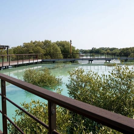 Jubail Mangrove Park – Boardwalk Experience – Recently Added Experiences OHHE.com Special Offers, Deals & Discounts