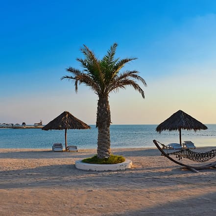 Family Private Boat Tour to Al Dar Island – Top-Rated Attractions OHHE.com Special Offers, Deals & Discounts