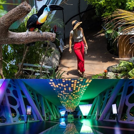 Dubai Frame + The Green Planet Dubai – Combo – Must-see attractions OHHE.com Special Offers, Deals & Discounts