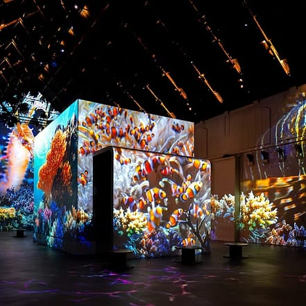 Fabrique des Lumières: The Sea – Recently Added Experiences OHHE.com Special Offers, Deals & Discounts