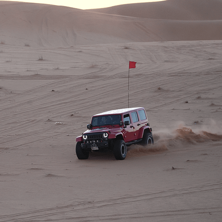 Storm adventure – Safari trip – Top-Rated Attractions OHHE.com Special Offers, Deals & Discounts