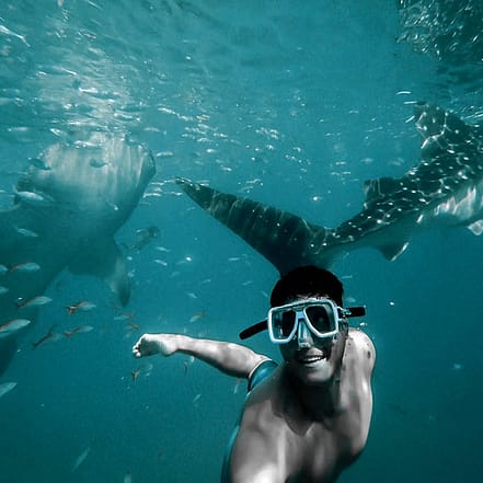 Private group Boating Experience with Dolphins Watching & Snorkeling – Sightseeing and Tours OHHE.com Special Offers, Deals & Discounts