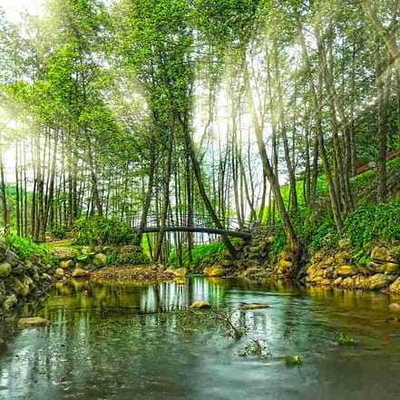 Daily Sapanca and Masukiye Tour: Full-Day Trip From Istanbul – Sightseeing and Tours OHHE.com Special Offers, Deals & Discounts