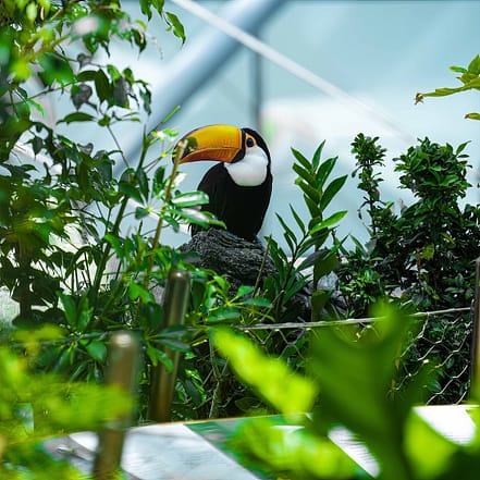 The Green Planet Dubai – Theme Parks OHHE.com Special Offers, Deals & Discounts