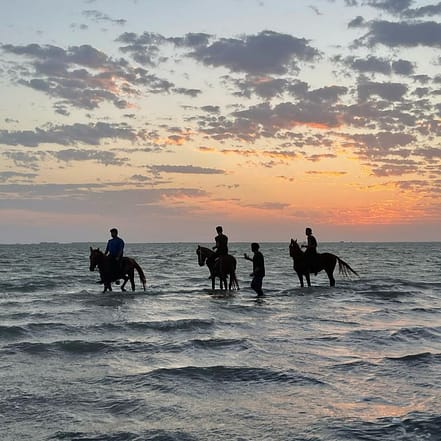 Horse Riding in Jeddah – Experiences OHHE.com Special Offers, Deals & Discounts