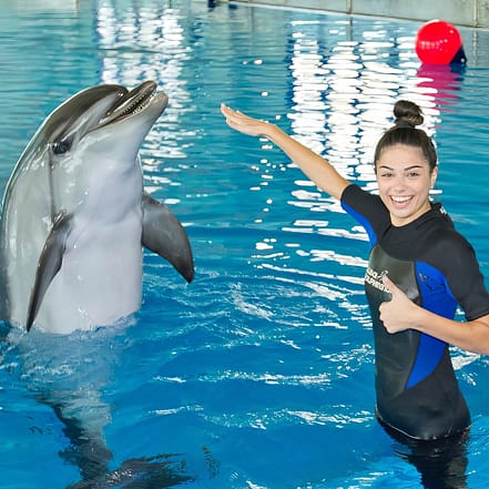 Swimming With Dolphins – Dubai Dolphinarium – Dubai Dolphinarium OHHE.com Special Offers, Deals & Discounts