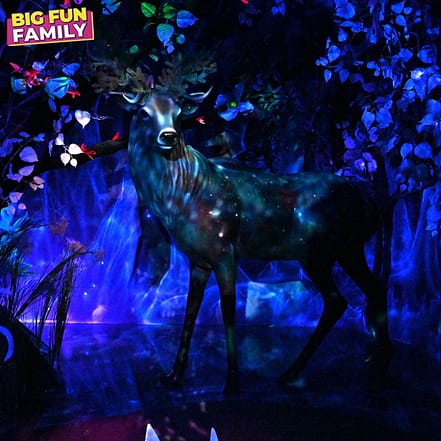 Big Fun Museum – Top-Rated Attractions OHHE.com Special Offers, Deals & Discounts