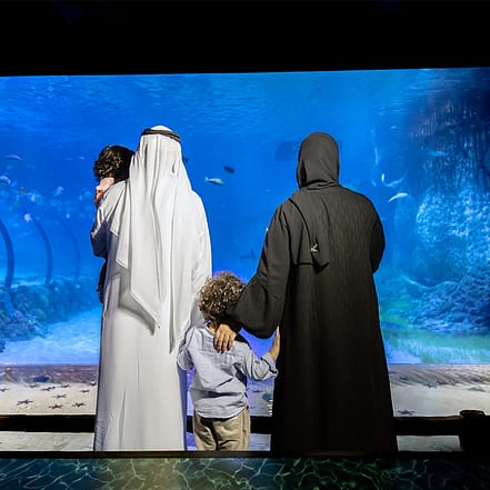 The National Aquarium Abu Dhabi – Experiences OHHE.com Special Offers, Deals & Discounts