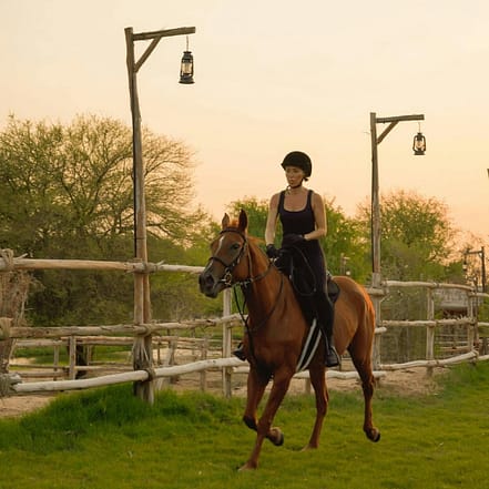 Horse Riding with Open Buffet Dinner & Shows – Desert safaris OHHE.com Special Offers, Deals & Discounts