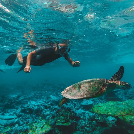 Dive & Snorkel Trips in Fujairah – Water Sports OHHE.com Special Offers, Deals & Discounts