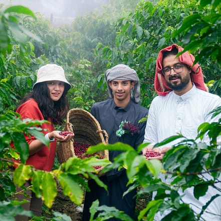 From Arabica to Arabian – Coffee Experience at a local farm – Recently Added Experiences OHHE.com Special Offers, Deals & Discounts