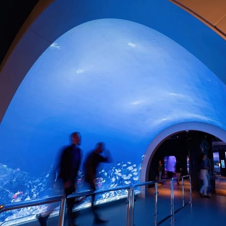 Marassi Aquarium & Underwater Zoo Tickets – Top-Rated Attractions OHHE.com Special Offers, Deals & Discounts