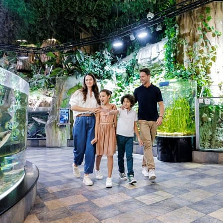 Dubai Aquarium & Underwater Zoo – Ultimate Experience – Experiences OHHE.com Special Offers, Deals & Discounts