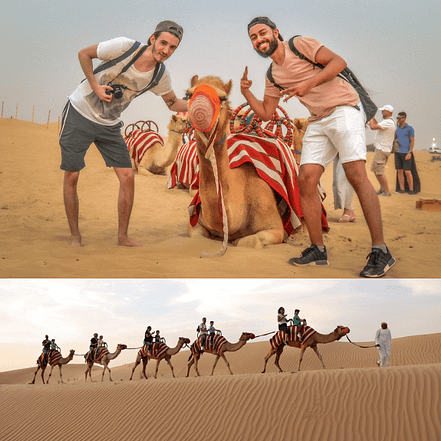 Morning Desert Safari Dubai with Dune Bashing, Sand Boarding & Camel Ride – Desert safaris OHHE.com Special Offers, Deals & Discounts