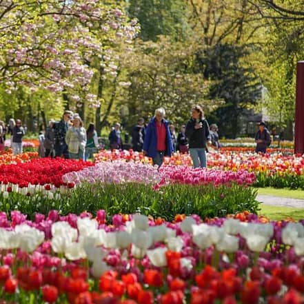 Keukenhof Gardens with transport – Recently Added Experiences OHHE.com Special Offers, Deals & Discounts