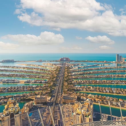 The View at The Palm – General Admission – Prime Hours – Experiences OHHE.com Special Offers, Deals & Discounts